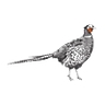 Logo for 50 Pheasant Road Operations LLC
