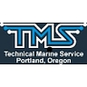 Logo for Alliedsignal Technical Service