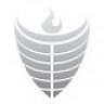 Logo for Austere Solutions Consulting & Securities Inc.