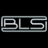 Logo for BLS Government Services LLC