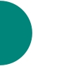 Logo for Boston Medical Center Corporation