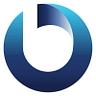 Logo for Burroughs, Mike