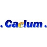 Logo for Caelum Research Corporation