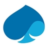 Logo for Capgemini Government Solutions LLC