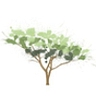 Chestnut Woods Operator LLC Logo for Chestnut Woods Operator LLC