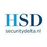 Logo for Delta Security Technologies In