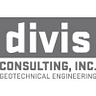 Logo for Divis Consulting, Inc.