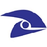 Logo for Fastvision LLC