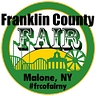 Logo for Franklin Government Services LLC