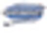 Logo for Intrepid Coatings Inc.