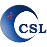 Logo for Lincoln Computer Services LLC