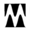 Logo for Maritech, LLC