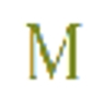 Logo for Montemayor Consulting Services LLC