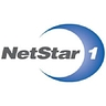 Logo for Netstar-1 Government Consulting, Inc.