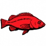 Logo for Pacific States Marine Fisheries Commission
