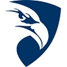 Logo for Paragon Systems, Inc.