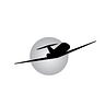 Logo for Piedmont Hawthorne Aviation, L.L.C.
