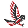 Logo for Pueo Business Solutions LLC