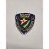 Logo for Texas Enforcer, A LIMITED Liability Company