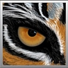 Logo for Tigerbrain Engineering, Inc.