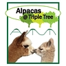 Logo for Triple Tree Inc.