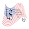 Logo for US Diversified Contracting Services Inc.