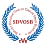 Logo for Veterans Solutions And Services, LLC